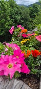 Chalet LE CHEVREUIL Proche La Foux dAllos