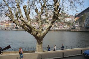 Estúdio com vistas rio Douro