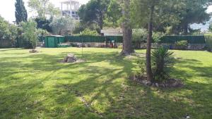 Can Jané Port d Alcudia