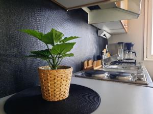 Studio with sauna near highway