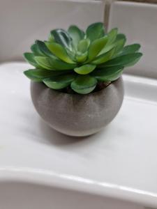 Studio with sauna near highway