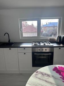 Central Park Bragadiru Loft