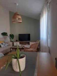 Damajuana - Cuevas Labradas