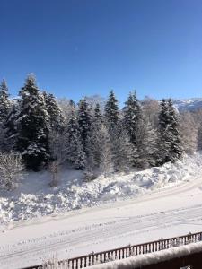 Appartements Appartement confortable et fonctionnel a 150m des pistes : photos des chambres