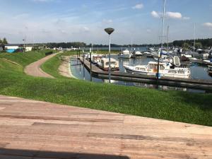 Luxury chalet in a quiet park by Lake Esmeer