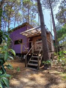 Las Vecchias - 拉科罗尼亚