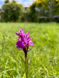 The Chalet by Hip Haus