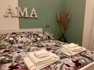 AMA HOMe, appartamento in centro con terrazza