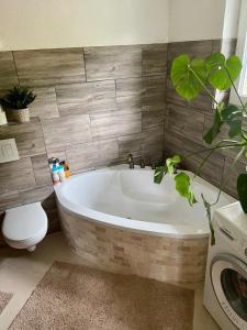 Barn Apartment in an Old Farmhouse near Vaduz