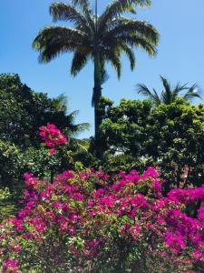 Casa Azul de Genipabu - Natal