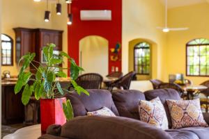 Cabarete Oceanview Villa Pool Oasis Beach Access