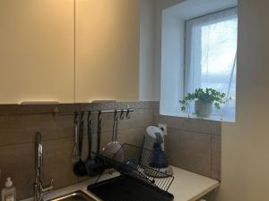 Appartements Le Terrier : photos des chambres