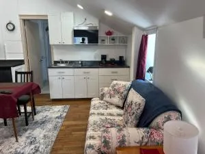 Trendy In-Town Studio - Fast WiFi & Work Desk - 弗雷德里克顿