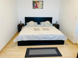 1BD Apartment on Masarykovo Square - Bathtube, Desk & Chair, Free Wi-Fi