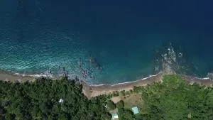 Cabins yafeth osa drake bay - Drake