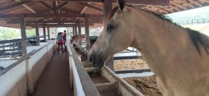 Flat Monte Castelo - Comodidade incrível 2