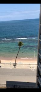 Dois quartos, PRAIA, Farol da Barra