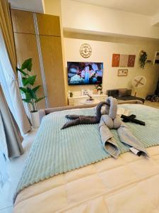 Cozy Studio in Viceroy Near Venice Mall