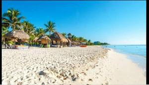 Fabulous studio in Playa del Carmen very central