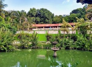 Sítio para aniversários, casamentos, retiros