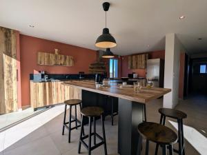 Gîte spacieux pour 10 pers. avec grand jardin à Tence - FR-1-582-528