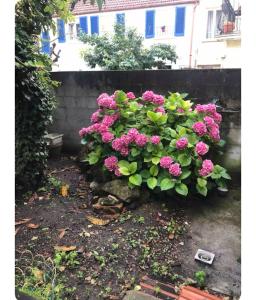Sejours chez l'habitant Chez Miguel Angel : Chambre Double - Vue sur Jardin