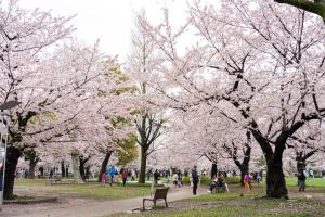 Rakuna Inn 晴 Kinshi2