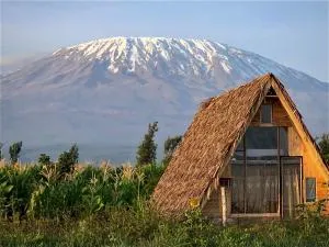 Amboseli Trails Cabin - Lasset