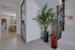 Luxury Rooms Palace B&B