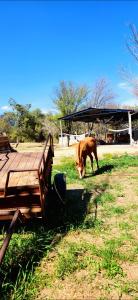 Quinta el cocula cabañas y camping