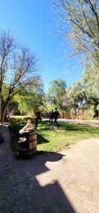 Quinta el cocula cabañas y camping