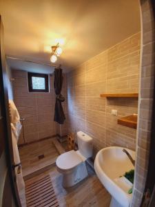 Cabana Cavnic Maramures