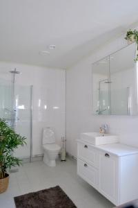 House near Umeå for rent