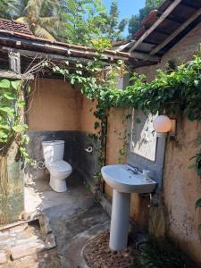Cool House Cabana