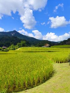 Rimna Banpark 4 ริมนาบ้านพัก4