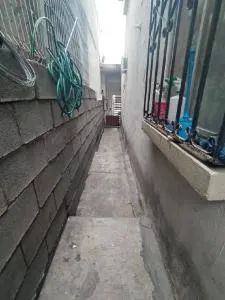 lolas house - 墨西哥城