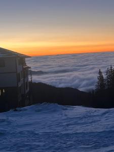 Grand resort luxury apartment