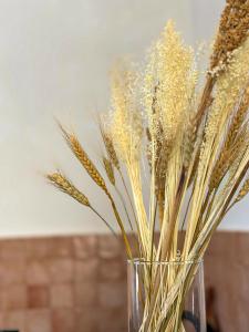 Aesthetic 1-Bedroom Villa Lala with Private Pool near Uluwatu -Bali