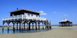 Maisons de vacances Le ptit eden : photos des chambres