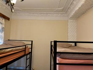 Long Tree Hostel - Comfy Mattress