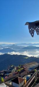 Mountain view homestay
