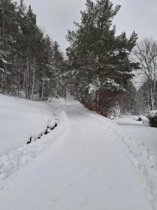 NORDIQUES DE LA WELCHE