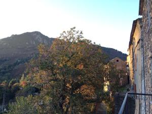 Appartements House between the sea and the mountain : photos des chambres