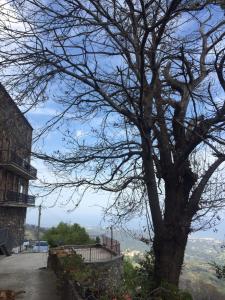 Appartements House between the sea and the mountain : photos des chambres