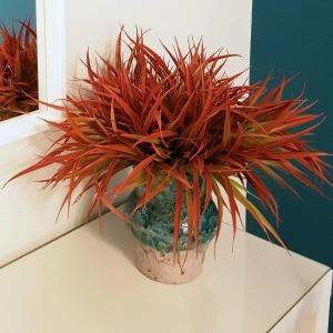 Nuovissimo appartamento zona Vaticano Aurelio