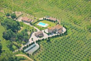 Villa Caselsa , villa for your special event up 24 guest