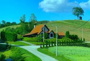 Seosko turističko domaćinstvo Jolović GUČA Veles - Guča