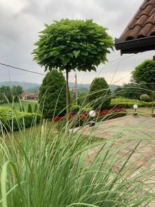 Seosko turističko domaćinstvo Jolović GUČA Veles