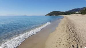 Villetta il caminetto img17