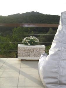 Sa Tanca den Marines ETV 1272 E